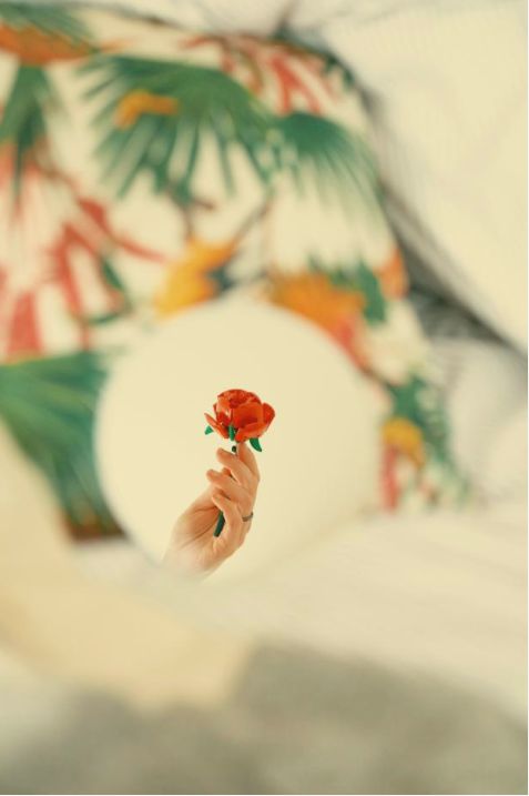 Workshop blooms
