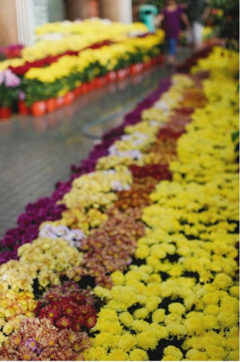 Eco floristry